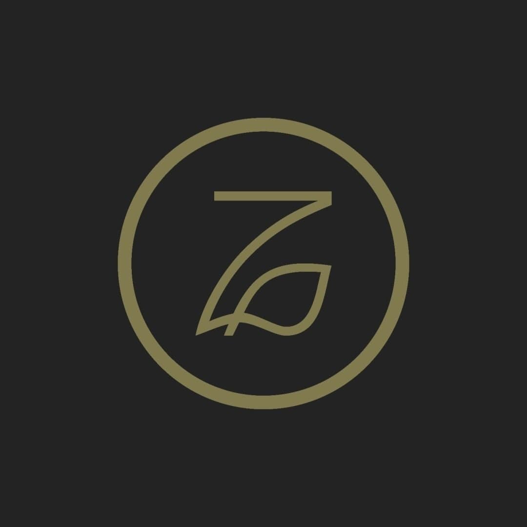 Logo Zayit